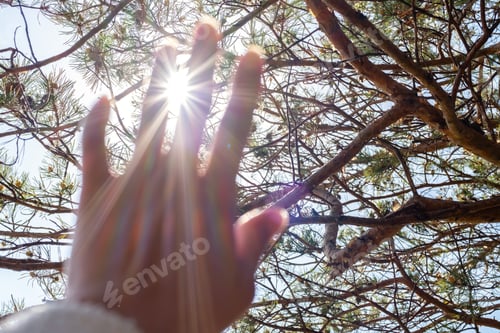 Preview: Defocused hand letting the rays of sun pass through her fingers.