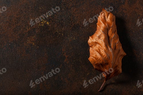 Preview: dark moody faded brown autumn leaf background, fall decay