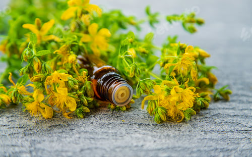Preview: An essential oil extract of St. John's wort herb. Selective focus.