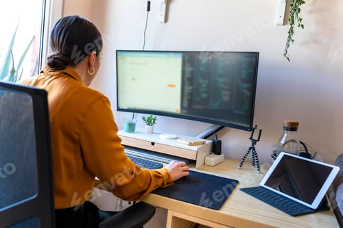 Preview: Computer programmer working from home. Teleworking concept.