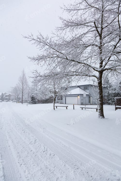 Preview: Residential Neighborhood in the Suburbs during a White Snow Storm