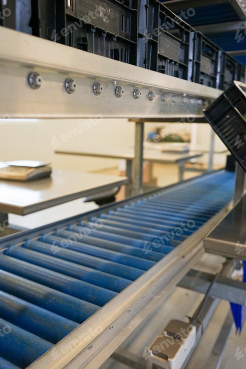 Vista previa: plant