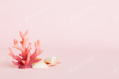 Preview: Summer time concept with sea shells or starfish on a table background with copy space for text