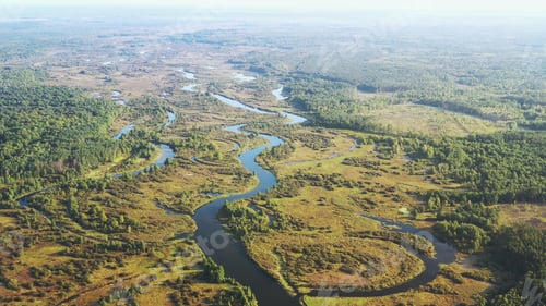 Preview: Aerial View Green Forest Woods And River Landscape In Sunny Summer Day. Top View Of Beautiful