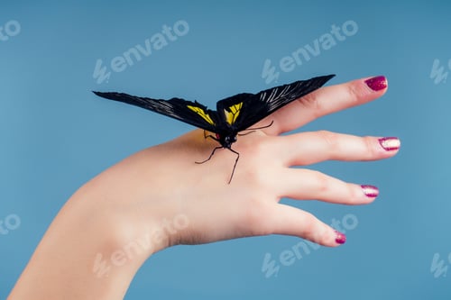 Preview: beautiful nude woman on blue background.