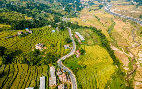 Preview: aerial view of Paddy farmland