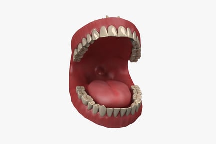 Preview: Dental arch with attached triangular structures