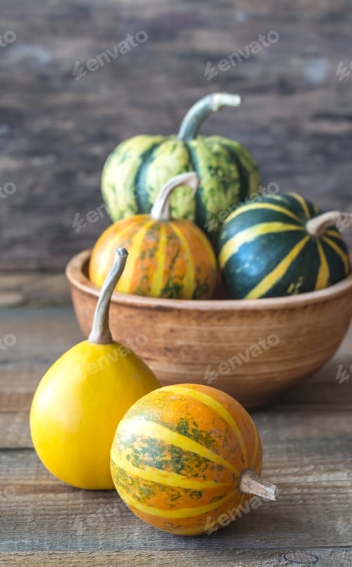 Preview: Variety of ornamental pumpkins