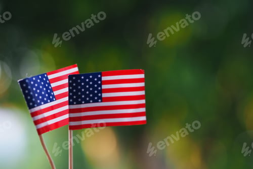 Preview: American flag in hand closeup outdoor green nature blur background