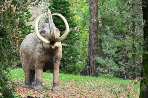 Preview: Life-size reconstruction of extinct mammoth