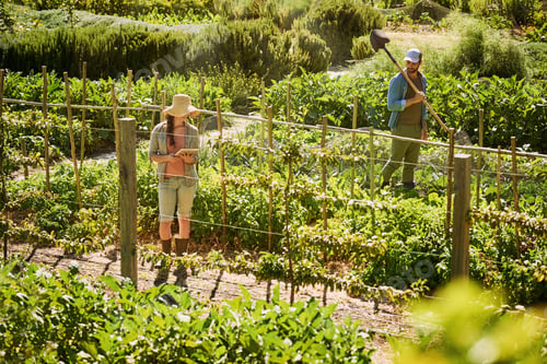 Preview: In the fields from dusk till dawn