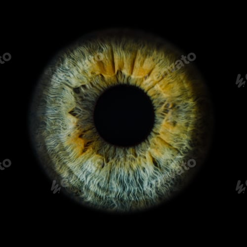 Preview: Macro photo of human eye on black background