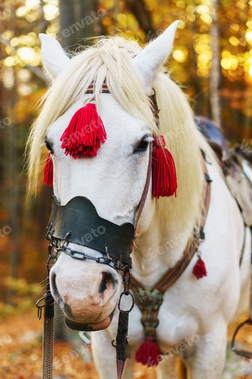 Preview: Portrait of fantasy magic fairy tale white horse