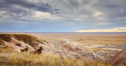 Preview: Badlands overlook.