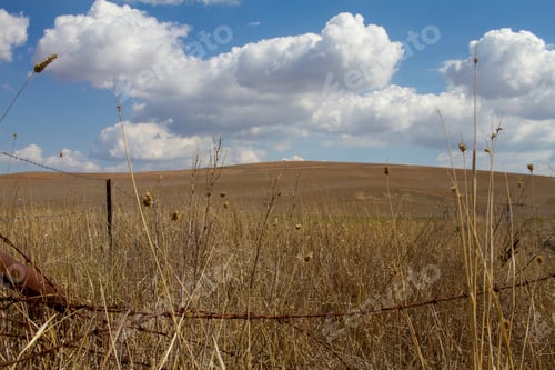 Preview: hay fields with rusty barb wire fence in outback Australia