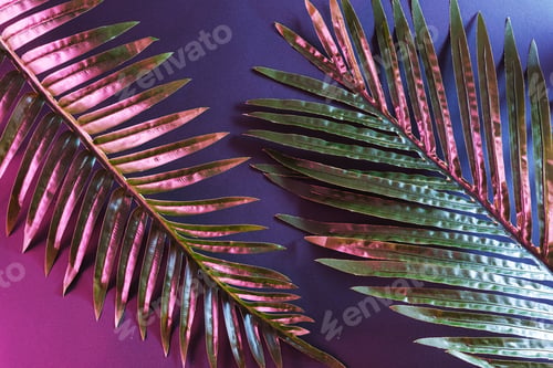 Preview: Glow illuminated reflection lighting tropical palm tree with neon light.