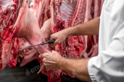 Preview: Butcher cutting pork at the manufacturing