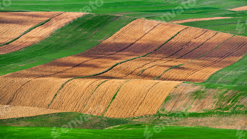 Preview: Landscape of plowed cultivated agricultural fields