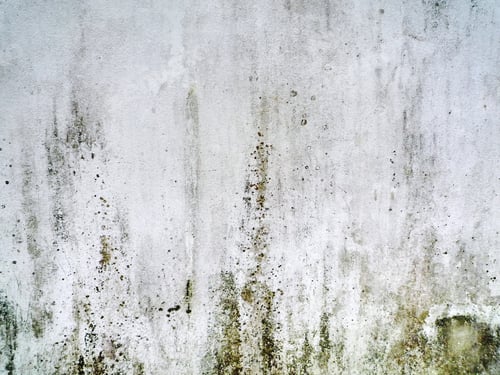 Preview: Full Frame Background of Grungy Dirty Wall Texture