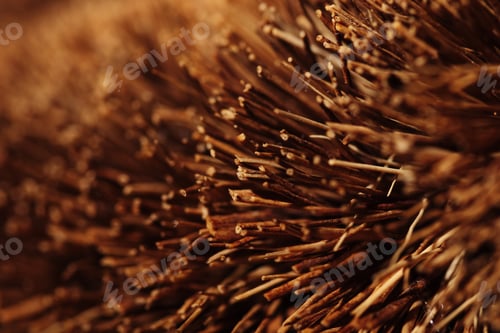 Preview: Macro photography of Brown brush bristles natural material