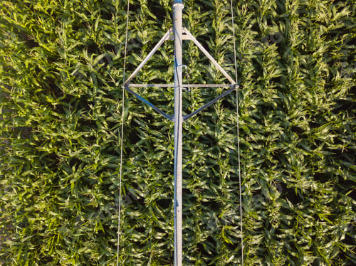 Preview: Drone photography, aerial view of irrigation system in cornfield