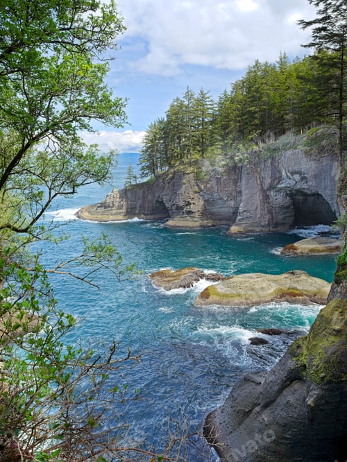 Preview: Cliffs at Cape Flattery in Washington.