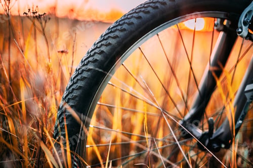 Preview: Bicycle Wheel In Dry Autumn Yellow Meadow Grass. Close Up Detail