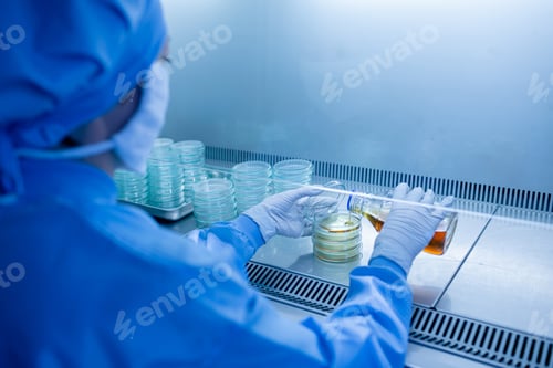 Preview: Scientist pouring agar into Petri dishes inside a laminar flow hood