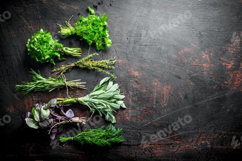 Preview: Bunches of fresh herbs for the salad.