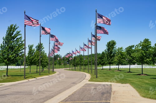 Preview: View of memorial park surrounded by American flags on flag poles