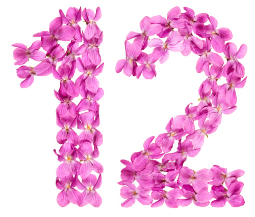 Preview: Arabic numeral 12, twelve, from flowers of viola, isolated on white background