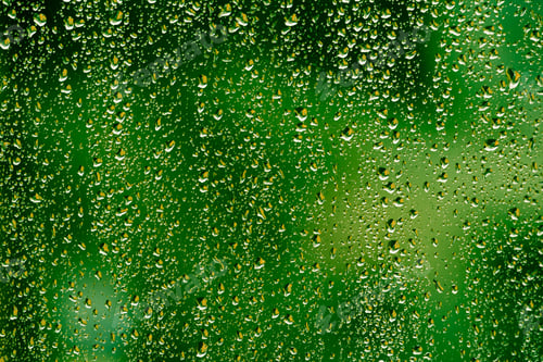 Preview: rain, raindrop, rainforest, raining