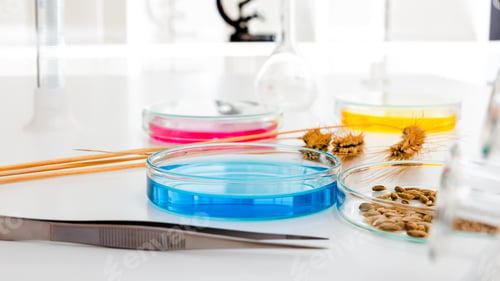 Preview: Science and Biotechnology, Laboratory Research, Cell Culture. Cells Biological Culture Concept
