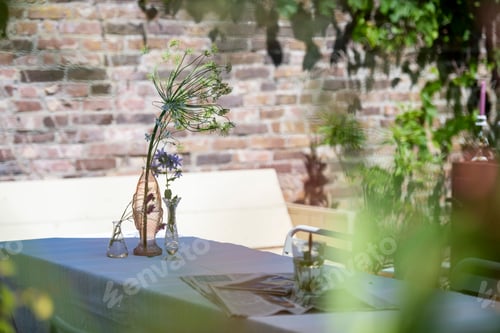 Preview: Flower in the garden