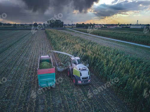 Preview: aerial view corn harvester chop green silage for cattle blown to wagon pulled by tractor in field