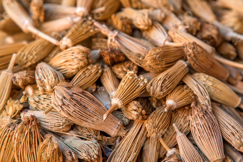 Preview: Berber toothpicks