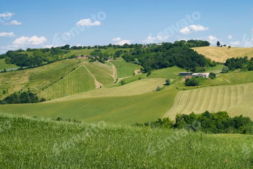 Preview: Rural landscape near Sala Baganza and Torrechiara, Parma, at springtime