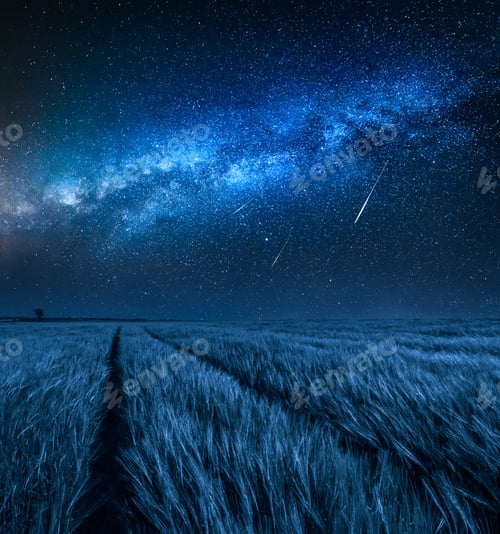 Preview: Milky way over field with wheat at night in summer