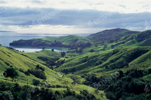 Preview: Bay of islands new zealand