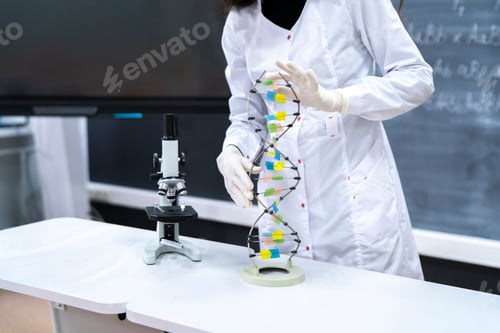 Preview: a young asian professor in the university showing DNA model in classroom
