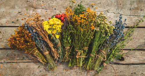 Preview: Dried medicinal herbs on the table. Selective focus.