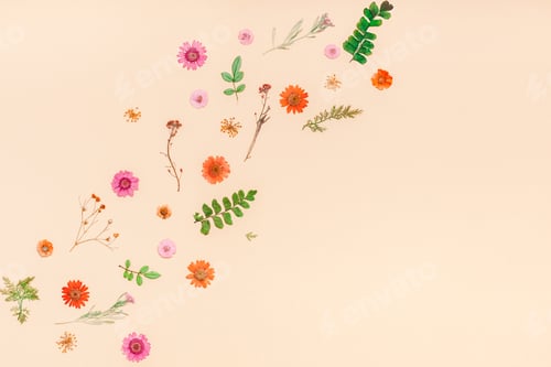 Preview: Frame made of dried flowers and leaves