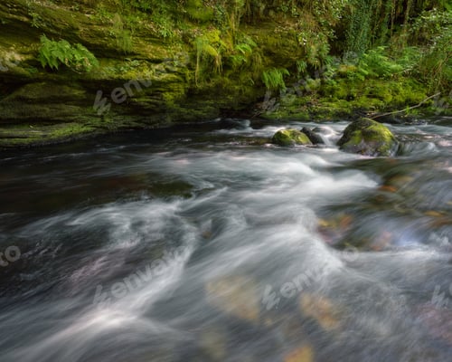 Preview: Stream of a river against a slate wall covered in moss and ferns