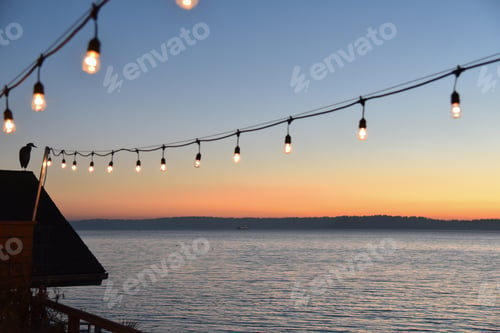 Preview: Blue heron with deck lights seaside sunset