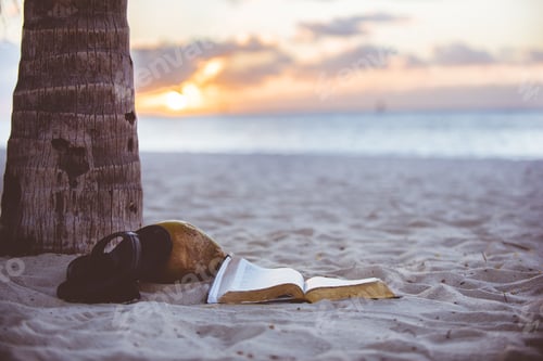 Preview: Closeup shot of an open bible on a sandy shore near a palm tree with a blurred background