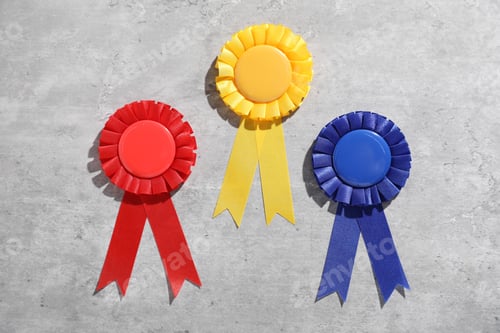 Preview: Different award ribbons on light grey table, flat lay