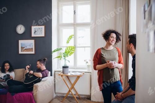 Preview: A group of young friends indoors at home, house sharing concept