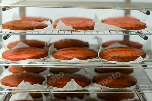 Preview: baked undecorated red velvet layers for frosted icing cake out of oven