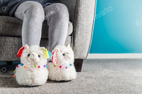 Preview: Young girl is wearing cute soft 3d llama slippers