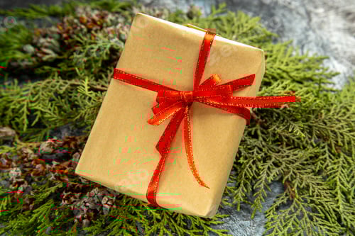 Preview: bottom view small gift tied with red ribbon on pine branches